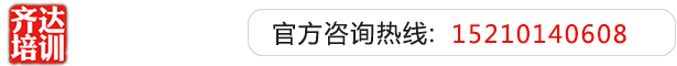 大鸡巴干骚逼视频齐达艺考文化课-艺术生文化课,艺术类文化课,艺考生文化课logo